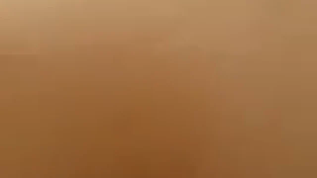 Anal with Cumshot on Face wetnwild130
